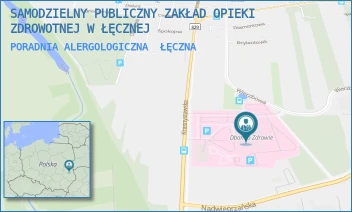 PORADNIA ALERGOLOGICZNA - SAMODZIELNY PUBLICZNY ZAKŁAD OPIEKI ZDROWOTNEJ W ŁĘCZNEJ - KRASNYSTAWSKA 52,  ŁĘCZNA