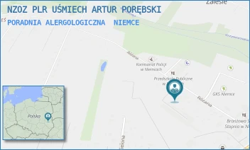 PORADNIA ALERGOLOGICZNA - NZOZ PLR UŚMIECH ARTUR PORĘBSKI - RÓŻANA 33,  NIEMCE
