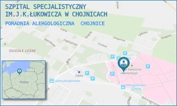 PORADNIA ALERGOLOGICZNA - SZPITAL SPECJALISTYCZNY IM.J.K.ŁUKOWICZA W CHOJNICACH - UL. LEŚNA 10,  CHOJNICE