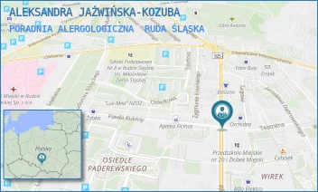 PORADNIA ALERGOLOGICZNA - ALEKSANDRA JAŹWIŃSKA-KOZUBA - UL. 1 MAJA 288,  RUDA ŚLĄSKA