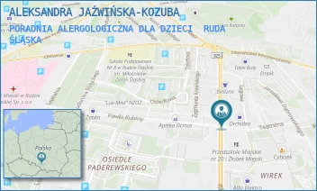 PORADNIA ALERGOLOGICZNA DLA DZIECI - ALEKSANDRA JAŹWIŃSKA-KOZUBA - UL. 1 MAJA 288,  RUDA ŚLĄSKA