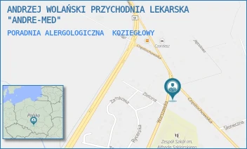 PORADNIA ALERGOLOGICZNA - ANDRZEJ WOLAŃSKI PRZYCHODNIA LEKARSKA "ANDRE-MED" - UL. CZĘSTOCHOWSKA 31,  KOZIEGŁOWY