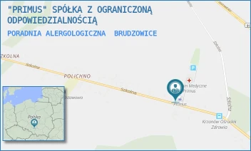 PORADNIA ALERGOLOGICZNA - "PRIMUS" SPÓŁKA Z OGRANICZONĄ ODPOWIEDZIALNOŚCIĄ - UL. SZKOLNA 12,  BRUDZOWICE
